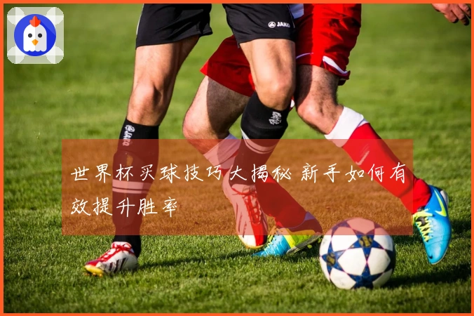 世界杯买球技巧大揭秘 新手如何有效提升胜率