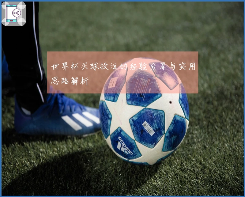 世界杯买球投注的经验分享与实用思路解析
