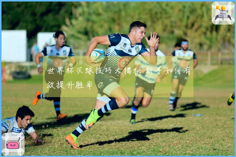 世界杯买球技巧大揭秘 新手如何有效提升胜率